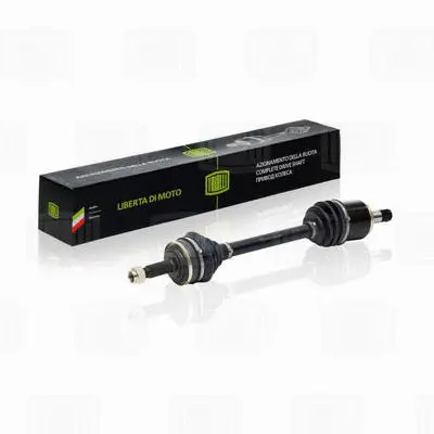 Drive Shaft (AR 771)