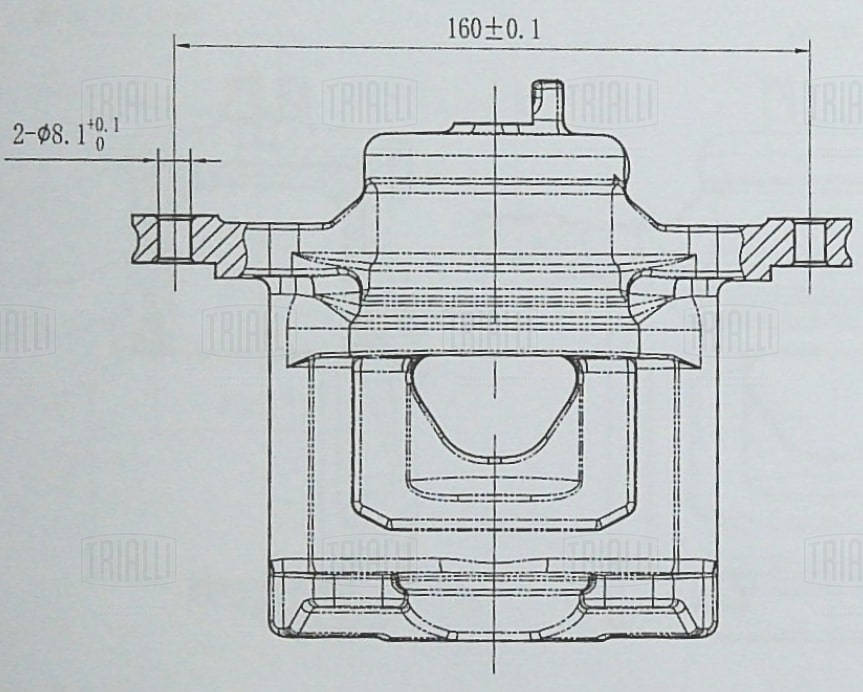 Brake Caliper