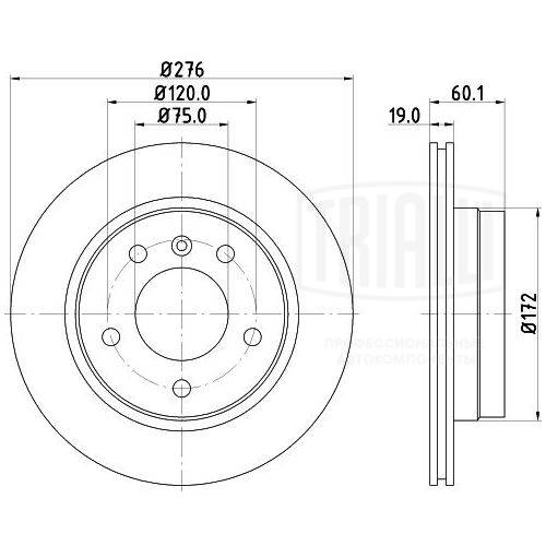 Brake Disc (DF 263903)