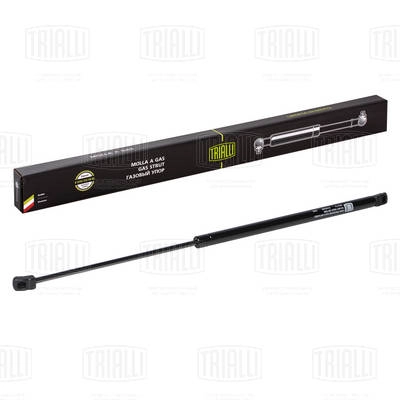 Gas Spring, boot/cargo area (GS 2113)