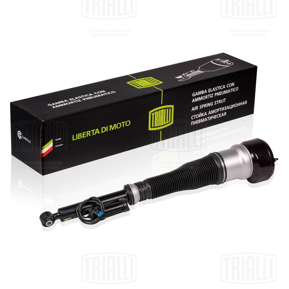 Air Suspension Strut (AG 15958)