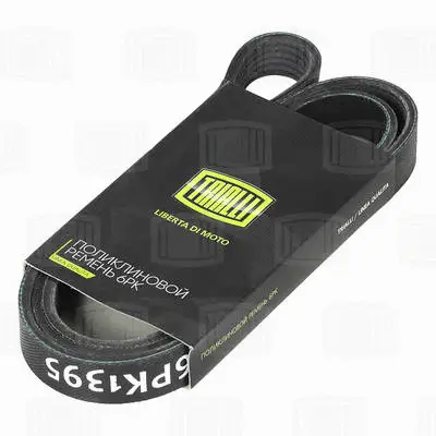 V-Ribbed Belt (6PK1395)