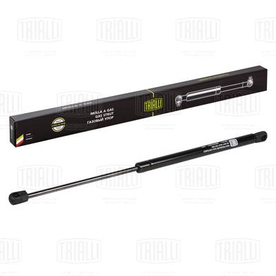 Gas Spring, boot/cargo area (GS 1817)