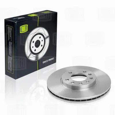 Brake Disc (DF 210205)
