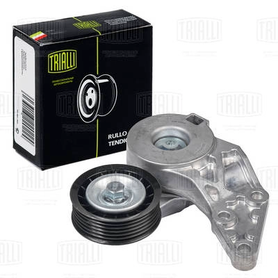 Deflection/Guide Pulley, V-ribbed belt (CM 5339)