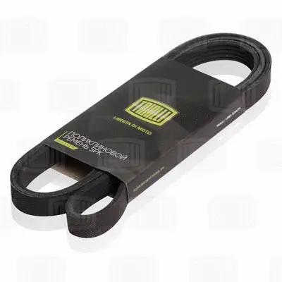 V-Ribbed Belt (5PK1815)