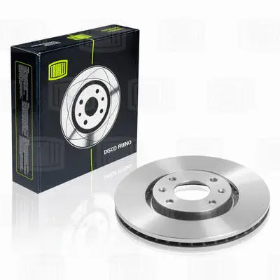 Brake Disc (DF 200101)