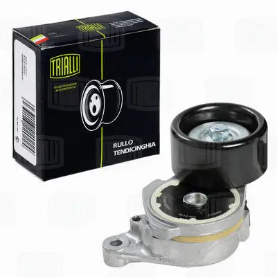 Deflection/Guide Pulley, V-ribbed belt (CM 6176)