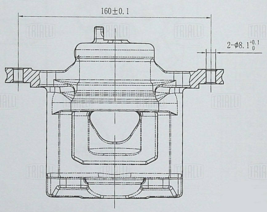 Brake Caliper