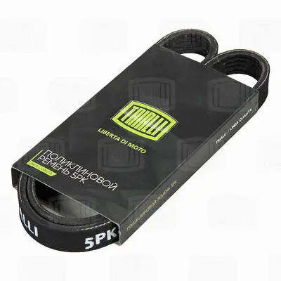 V-Ribbed Belt (5PK868E)