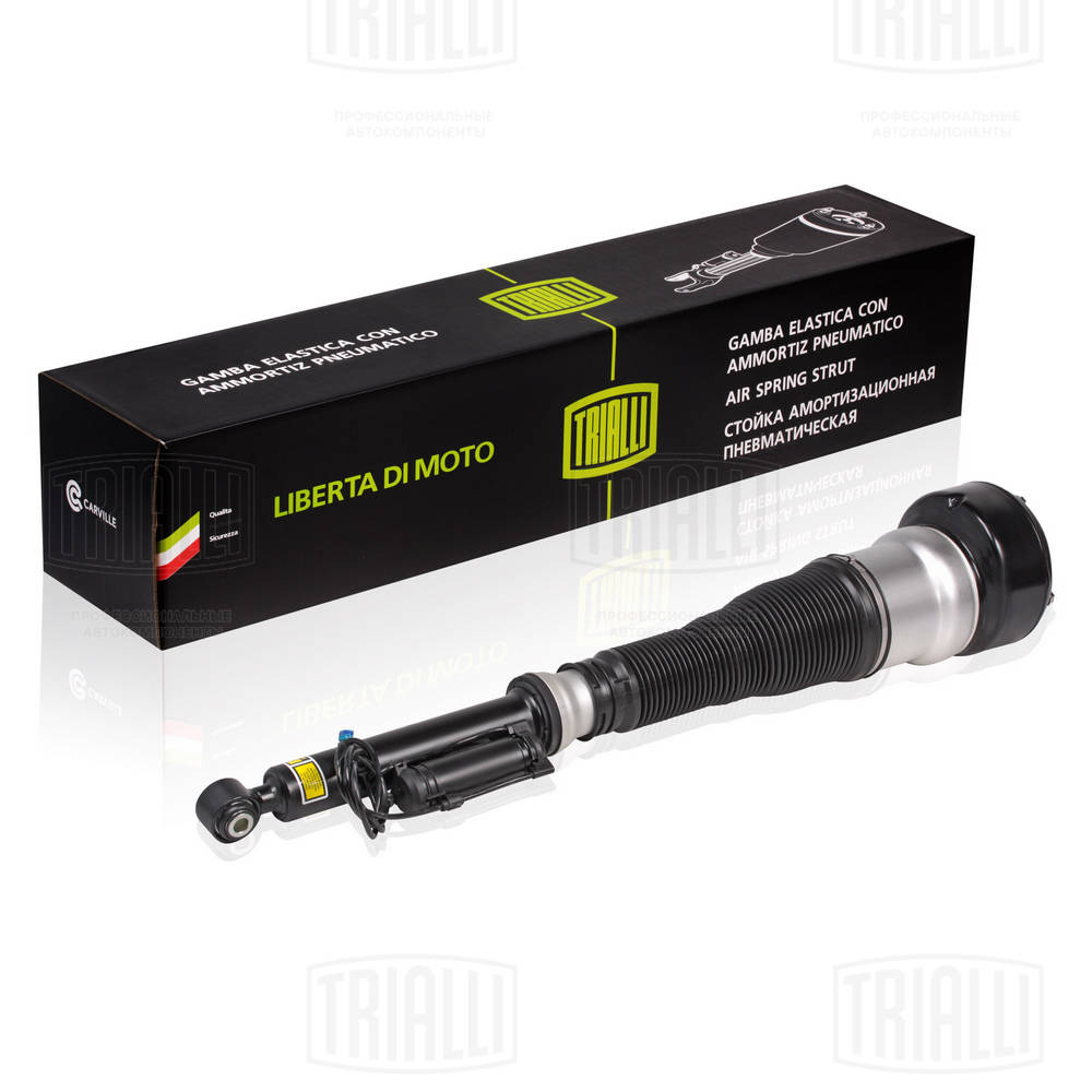 Air Suspension Strut (AG 15957)