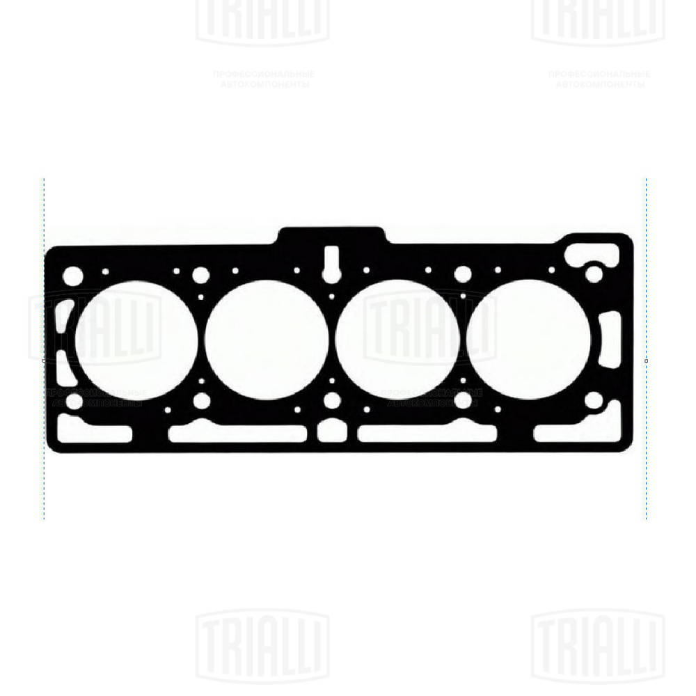 Gasket, cylinder head (GZ 101 5007)