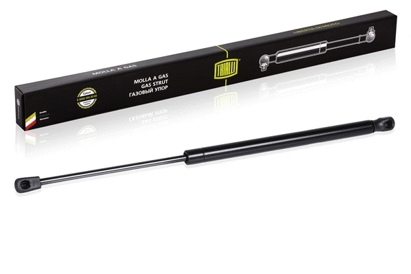 Gas Spring, rear window (GS 0844)