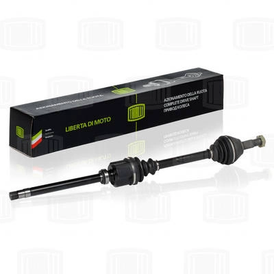 Drive Shaft (AR 2004)