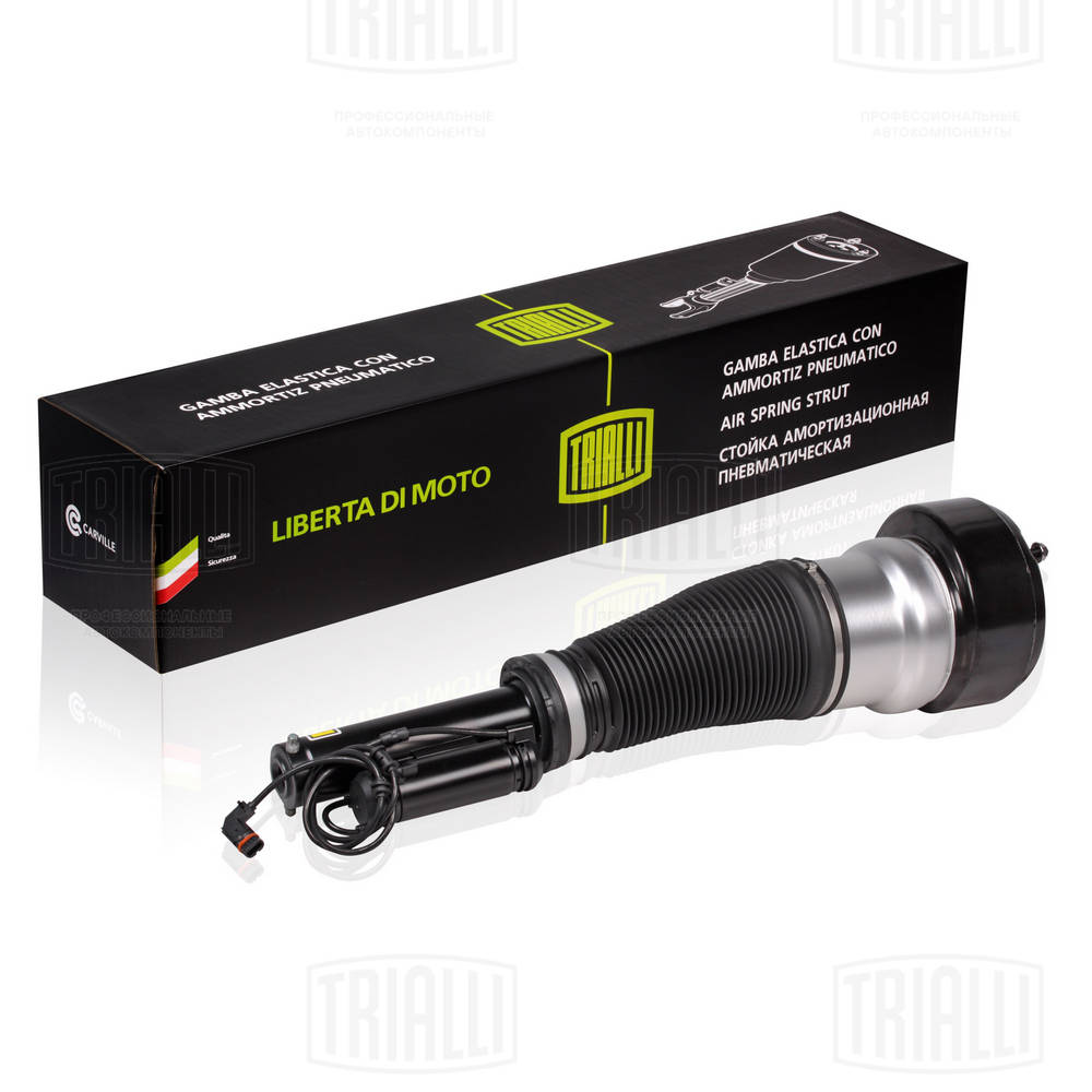 Air Suspension Strut (AG 15954)