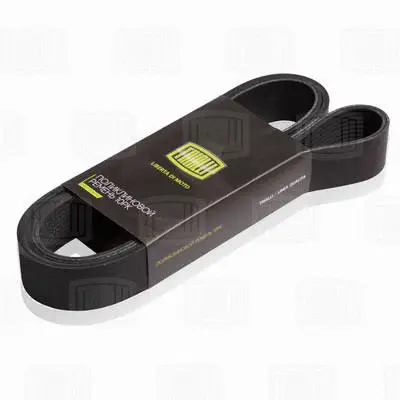 V-Ribbed Belt (10PK1703)