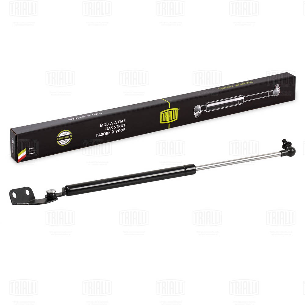 Gas Spring, boot/cargo area