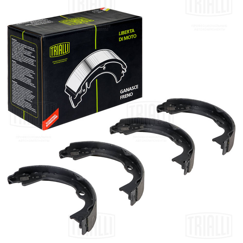 Brake Shoe Set, parking brake (GF 4655)