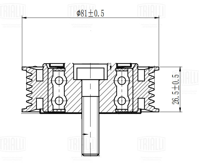 Deflection/Guide Pulley, V-ribbed belt (CM 5519)