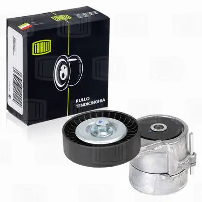 Deflection/Guide Pulley, V-ribbed belt (CM 2107)