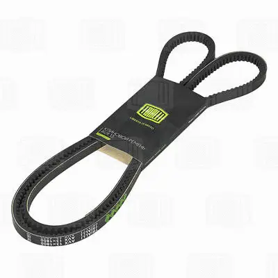 V-Belt (AVX13X1800)