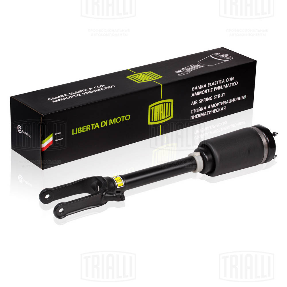 Air Suspension Strut (AG 15960)