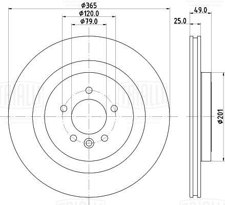 Brake Disc (DF 198019)