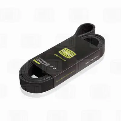 V-Ribbed Belt (8PK1445)