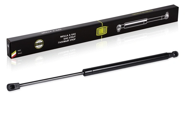 Gas Spring, bonnet (GS 0829)
