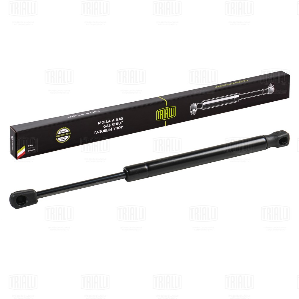 Gas Spring, boot/cargo area