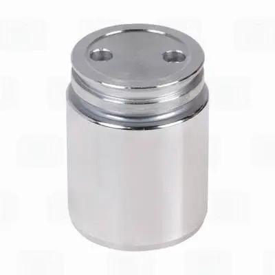 Repair Kit, brake caliper (RCF 102064)