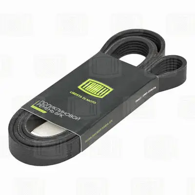 V-Ribbed Belt (6PK2138)