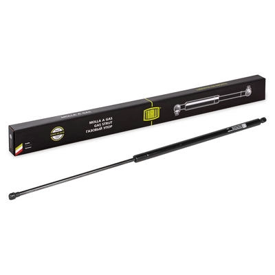 Gas Spring, boot/cargo area (GS 0905)