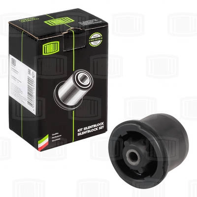 Mounting, control/trailing arm