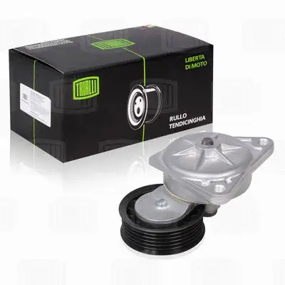 Deflection/Guide Pulley, V-ribbed belt (CM 1007)