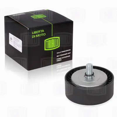 Deflection/Guide Pulley, V-ribbed belt (CM 2601)