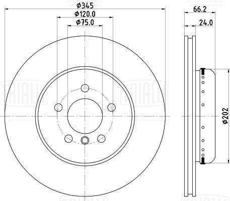 Brake Disc (DF 210216)