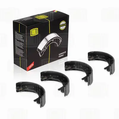 Brake Shoe Set, parking brake (GF 1665)