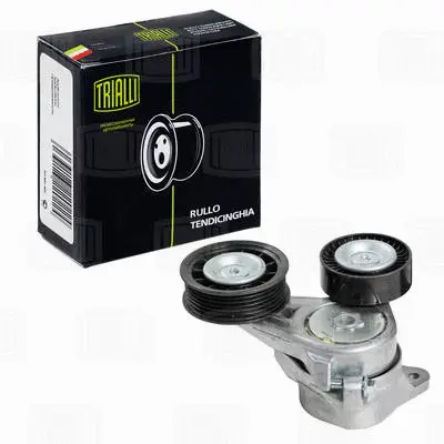 Deflection/Guide Pulley, V-ribbed belt (CM 5341)