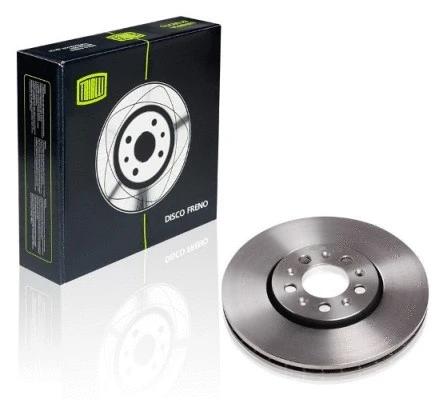 Brake Disc (DF 180113)