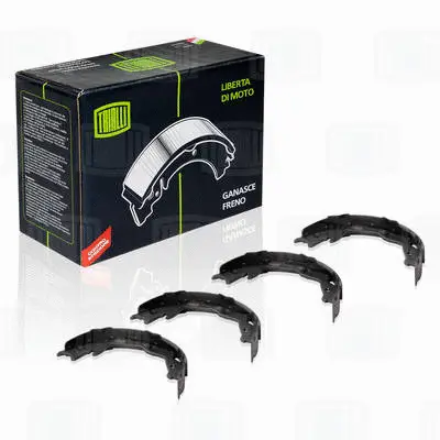 Brake Shoe Set, parking brake (GF 1904)