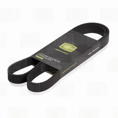 V-Ribbed Belt (6PK1217)