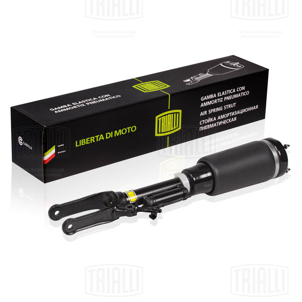 Air Suspension Strut (AG 15963)