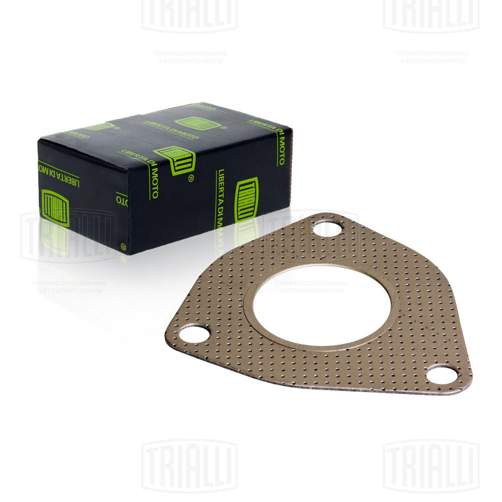 Gasket, exhaust pipe (GZ 102 0126)