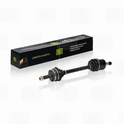 Drive Shaft (AR 711)