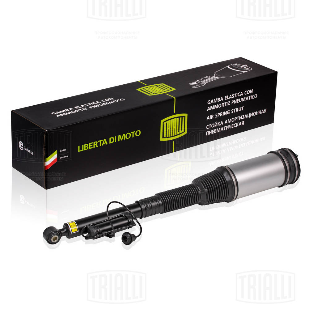 Air Suspension Strut (AG 15953)