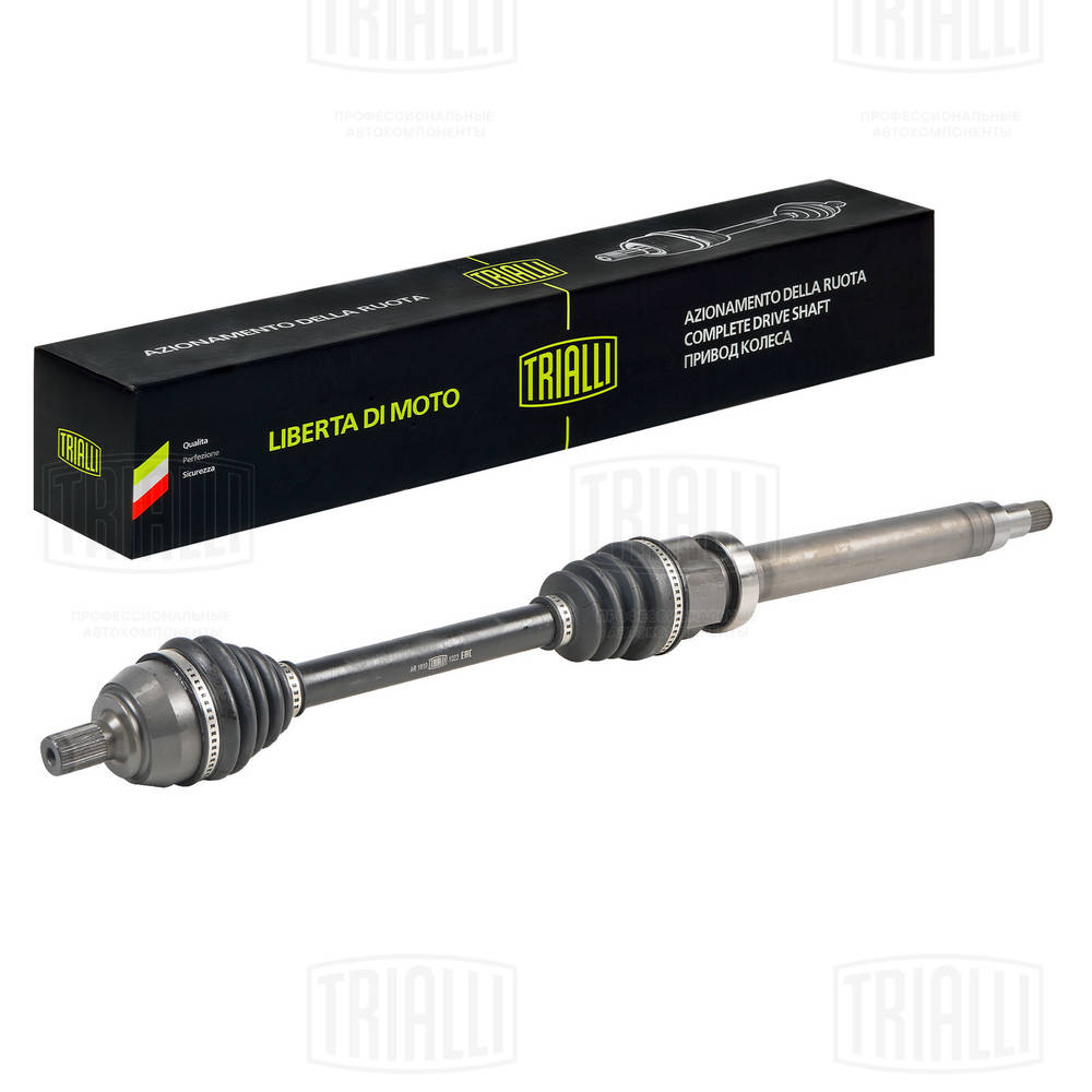 Drive Shaft (AR 1010)