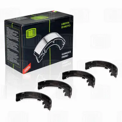 Brake Shoe Set, parking brake (GF 2301)