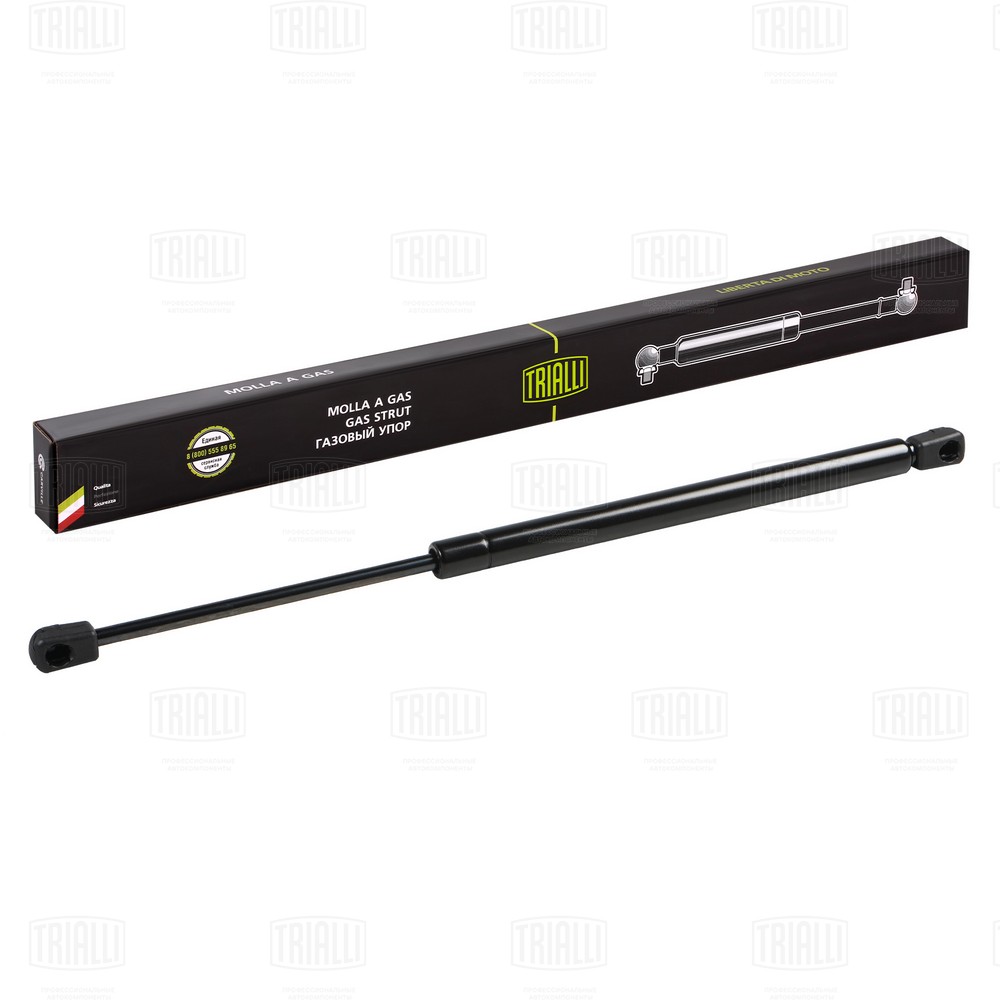 Gas Spring, boot/cargo area