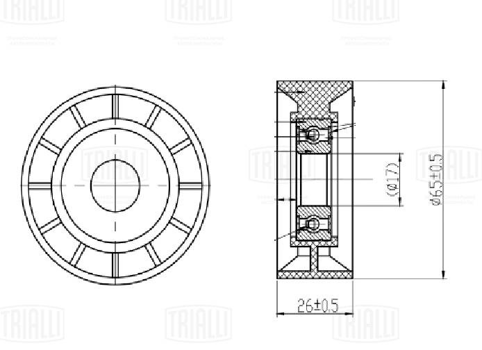 Deflection/Guide Pulley, V-ribbed belt (CM 0955)